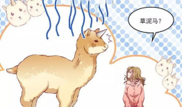 小黄书动漫,穿越次元，探寻青春记忆的奇幻之旅