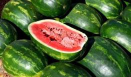 红料吃瓜爆料图片大全,揭秘娱乐圈幕后风云