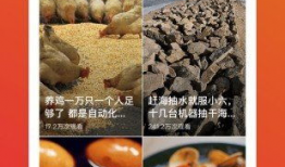 小奶瓶短视频,趣味亲子时光，温馨育儿瞬间