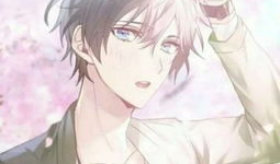 动漫霸气,动漫中的力量与激情