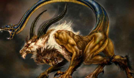 奇美拉 动漫,异种融合的奇幻冒险之旅