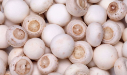 吃瓜独家爆料黑料蘑菇视频,揭秘黑料蘑菇视频背后的惊人真相