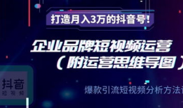 短视频公司运营,打造爆款内容，引领潮流风向标