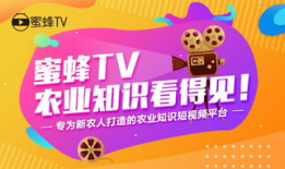 蜜蜂短视频,探寻蜜蜂世界的奇妙之旅