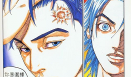 零秒出手动漫,瞬息万变的战斗艺术与青春热血的青春传奇